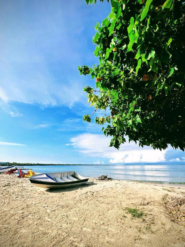Hostel Beach House Rincón エクステリア 写真