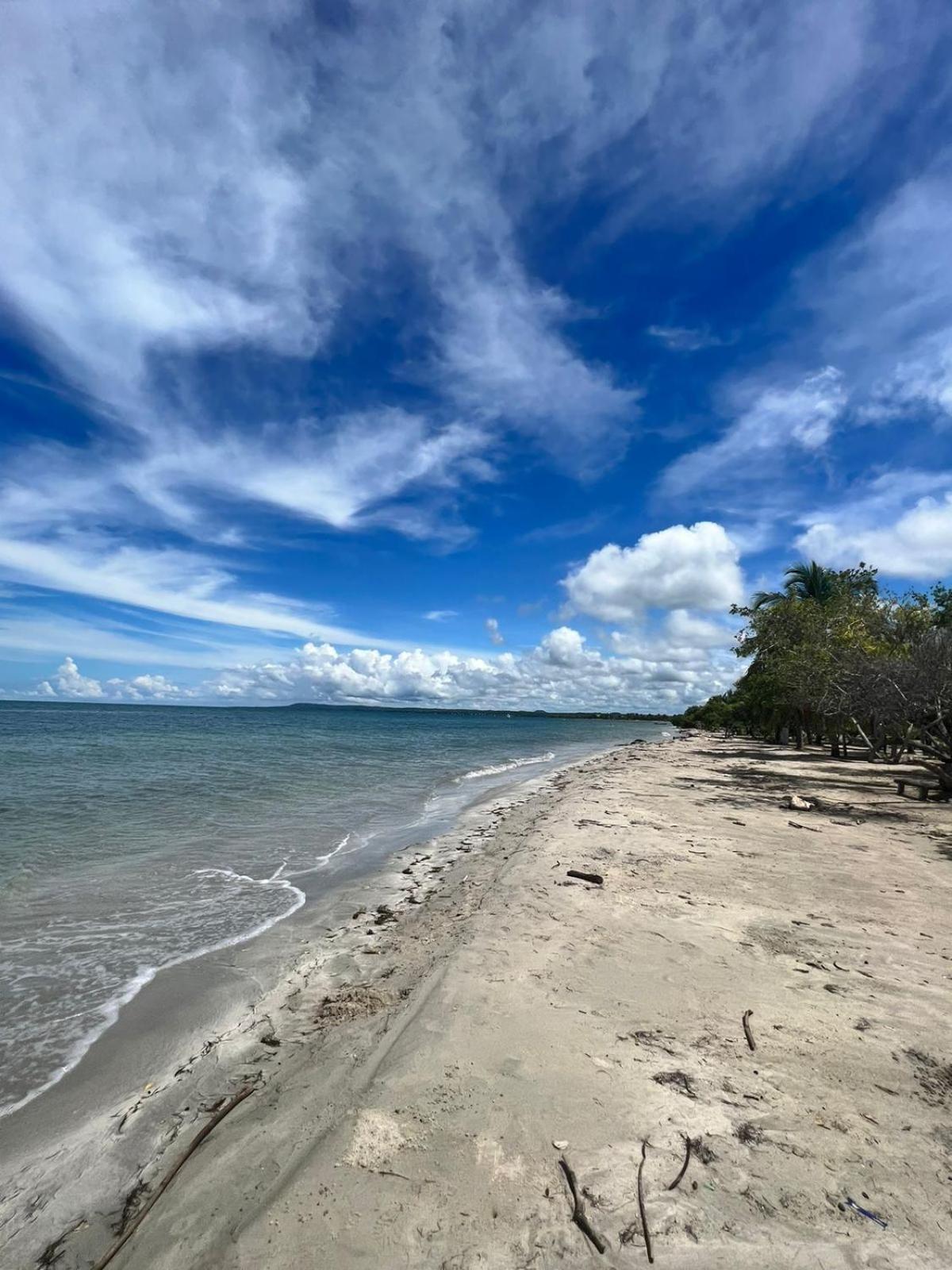 Hostel Beach House Rincón エクステリア 写真