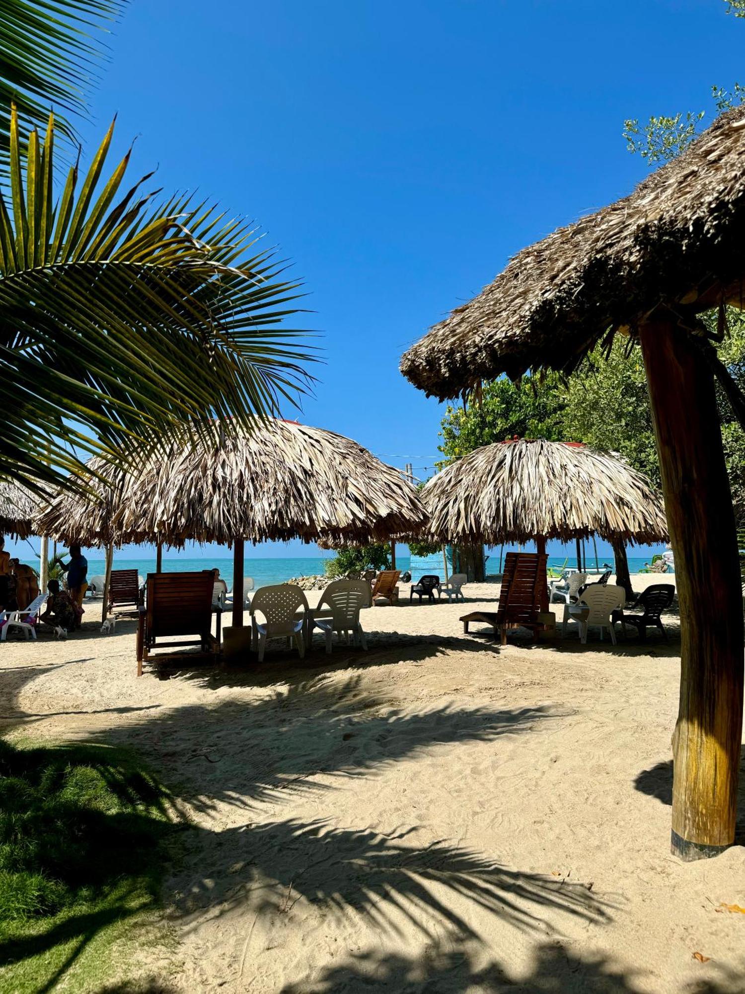 Hostel Beach House Rincón エクステリア 写真