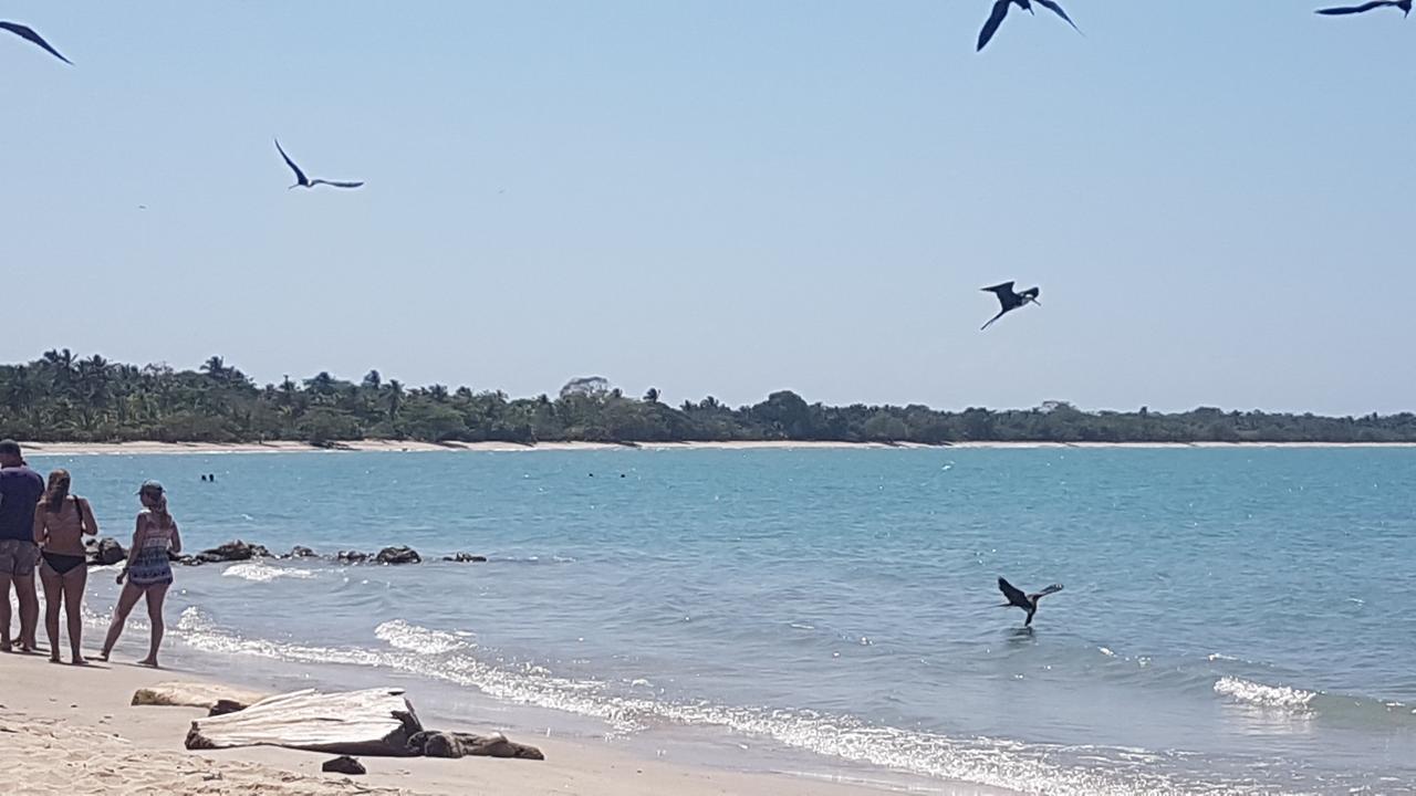Hostel Beach House Rincón エクステリア 写真